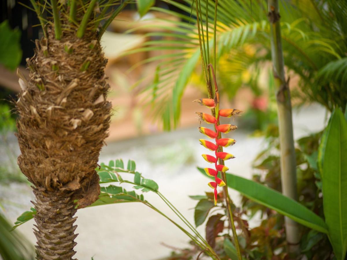 Favela Chic Tamarindo - Adults Only Apartment ภายนอก รูปภาพ